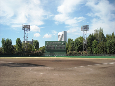 野球場情報