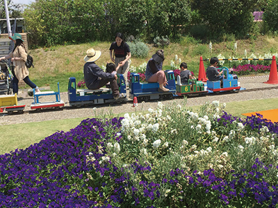 すみすみ公園フェスタ2020 in 住之江公園