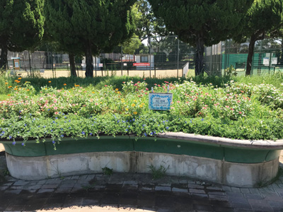 住之江・住吉公園ヒーリングガーデナークラブ メンバー募集