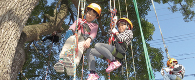 子供達のツリークライミングの様子