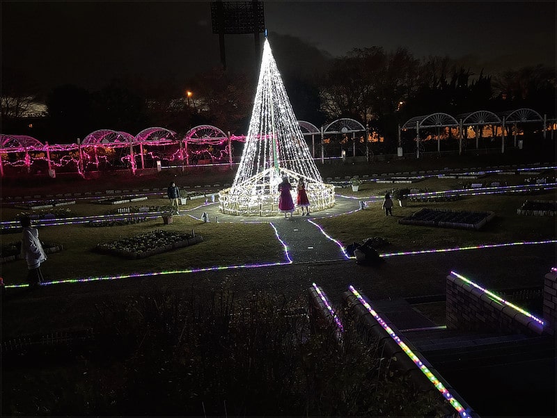 イルミネーションの様子