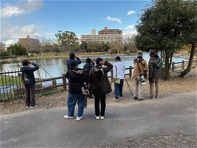 バ－ドウォッチングの様子