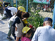 地域花壇作りの花苗や機材の提供・指導・お手伝い