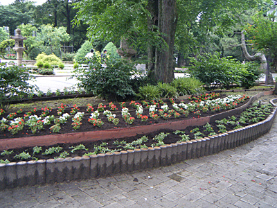 汐掛道 花壇で花壇づくり 大阪府営5公園ポータル いこいこ おおさかの公園