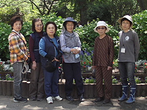 花壇の植え付け