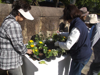 ガーデン倶楽部「レイズドベッドに植え付け」 ガーデン倶楽部「レイズドベッドに植え付け」