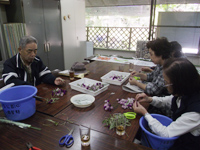ガーデン倶楽部「レイズドベッドに植え付け」 ガーデン倶楽部「レイズドベッドに植え付け」