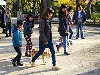 犬のしつけ教室 犬のしつけ教室