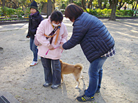 犬のしつけ教室 犬のしつけ教室