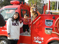 住之江区防災フェア×イザ!カエルキャラバン×ぼうさいカフェ in 住之江公園 住之江区防災フェア×イザ!カエルキャラバン×ぼうさいカフェ in 住之江公園