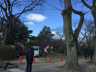 住吉公園サクラだよりレポート（平成28年2月17日(水)･18日(木)）