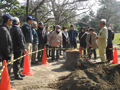 住吉公園さくらサポーター「第2回さくら勉強会」レポート