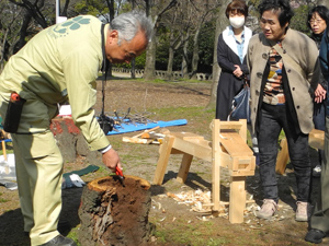 住吉公園さくらサポーター「第2回さくら勉強会」レポート