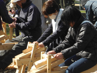 第2回さくらサポーター活動記録 第2回さくらサポーター活動記録
