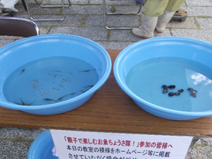 親子で楽しむお魚ちょうさ隊！レポート