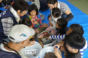 「セミのぬけがら探しと昆虫観察」レポート