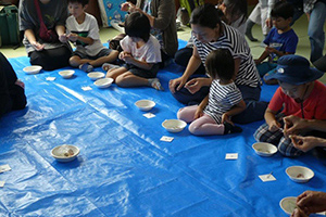 「セミのぬけがら探しと昆虫観察」レポート