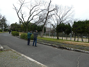 「住吉公園バードウオッチング」野鳥観察会