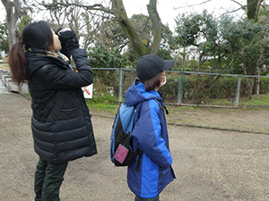 「住吉公園バードウオッチング」野鳥観察会