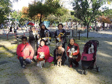 わんわんおさんぽ塾 in 住吉公園