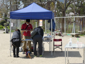 「わんわんおさんぽ塾 in 住吉公園」レポート 