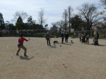 「わんわんおさんぽ塾 in 住吉公園」レポート 