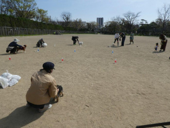 「わんわんおさんぽ塾 in 住吉公園」レポート