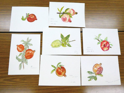 ボタニカルアート体験講座7 木の実を描こう