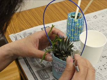 「空き缶リサイクル（多肉植物を植えよう）」レポート