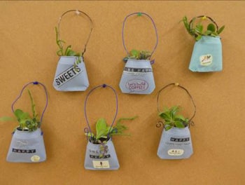 「空き缶リサイクル（多肉植物を植えよう）」レポート