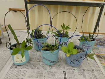「空き缶リサイクル（多肉植物を植えよう）」レポート