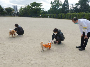 「わんわんおさんぽ塾 in 住吉公園」レポート