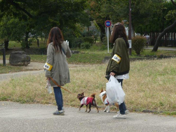 「わんわんおさんぽ塾 in 住吉公園」レポート