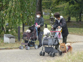 「わんわんおさんぽ塾 in 住吉公園」レポート