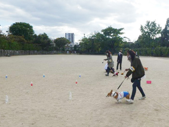 「わんわんおさんぽ塾 in 住吉公園」レポート