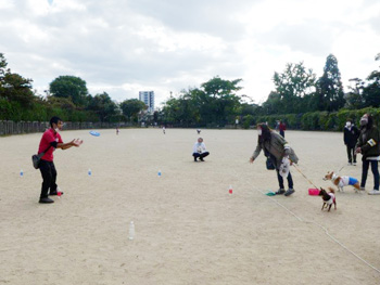 「わんわんおさんぽ塾 in 住吉公園」レポート