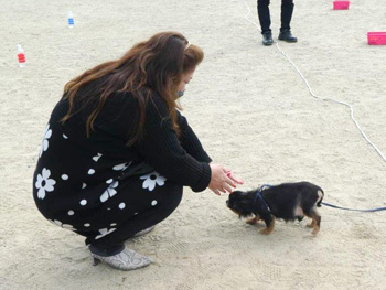 「わんわんおさんぽ塾 in 住吉公園」レポート