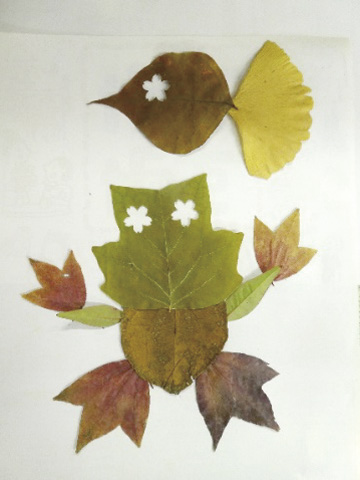 ボタニカルアート体験講座9「葉っぱを描こうⅢ」