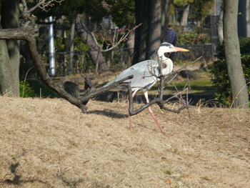 住吉公園野鳥会「バードウォッチング入門」レポート