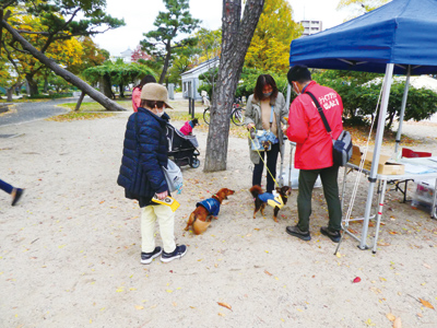 わんわんごみひろい in 住吉公園