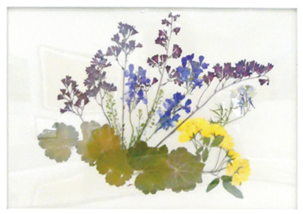 押し花額完成画像