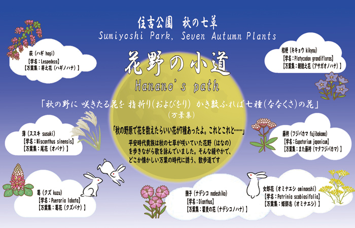 花野の小道チラシ画像　秋の七草の説明