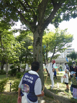 網を伸ばして