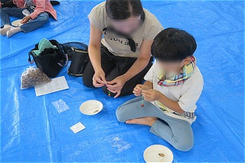 親子で協力しながらセミの抜け殻を使ったストラップ作りに取り組む様子