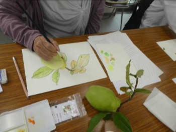 輪郭を描き、色付けしています