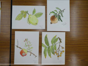 参加された皆さんの作品です