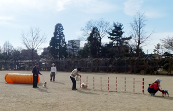エクストリームミニミニ体験会の模様