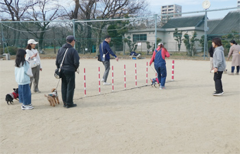 エクストリームミニミニ体験会の模様
