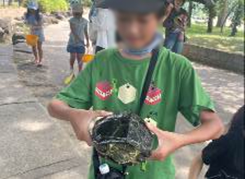 大きなクサガメ
