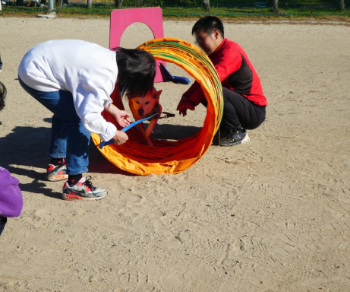 障害物競走の体験をするワンちゃんと飼い主さん